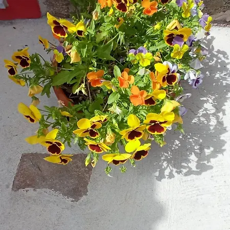 Casa Mouriscas Casalao