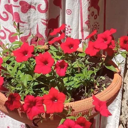 Tatil Evi Casa Mouriscas Casalao