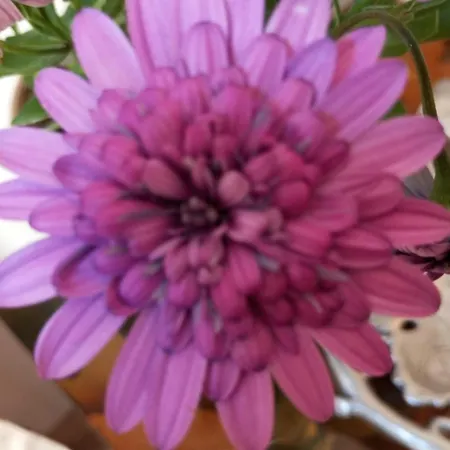 Casa Mouriscas * Casalao