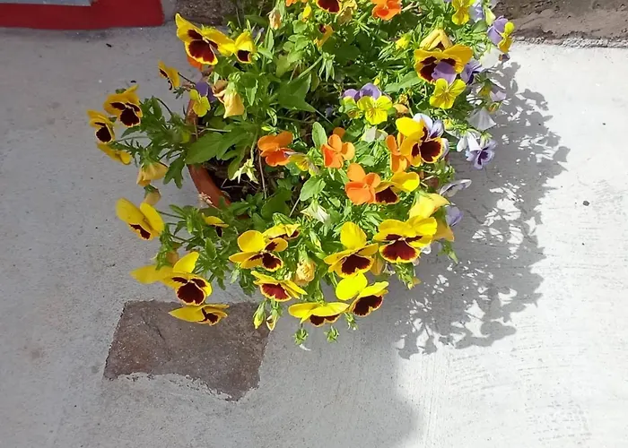 Casa Mouriscas Casalao