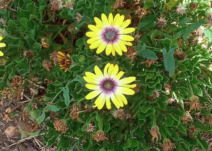 Casa Mouriscas Semesterbostad