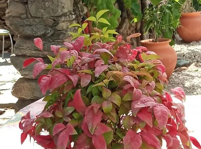 Casa Mouriscas Semesterbostad *