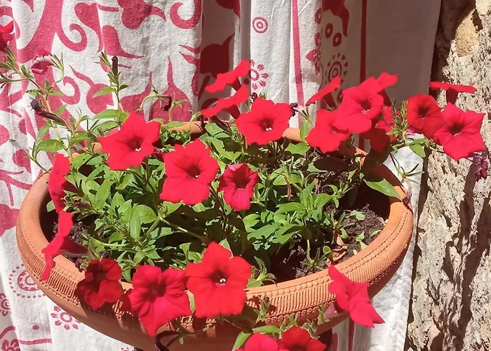 Semesterbostad Casa Mouriscas Casalao