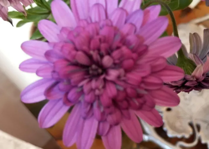 Casa Mouriscas * Casalao